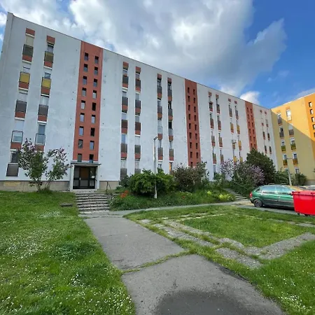 Bezo * Pécs